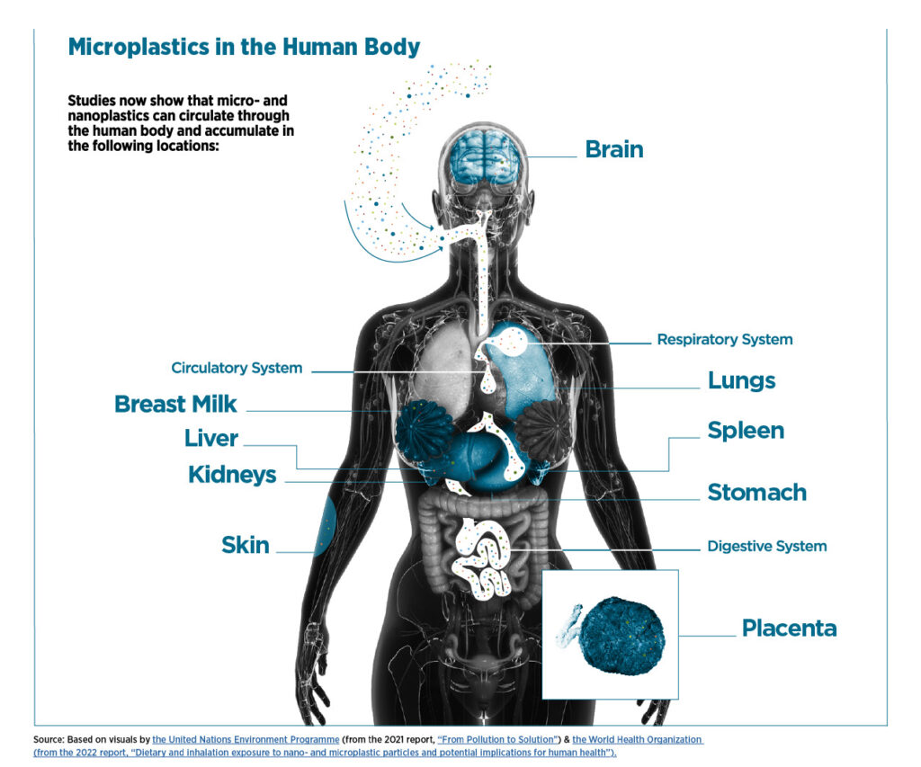 Microplastics - Safer States